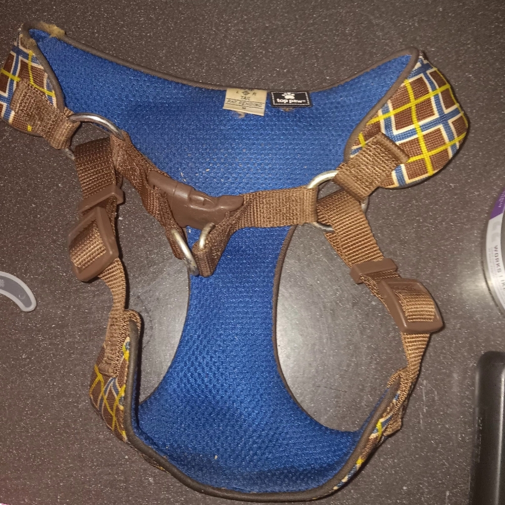 Harnesses - Picture 7 of 16